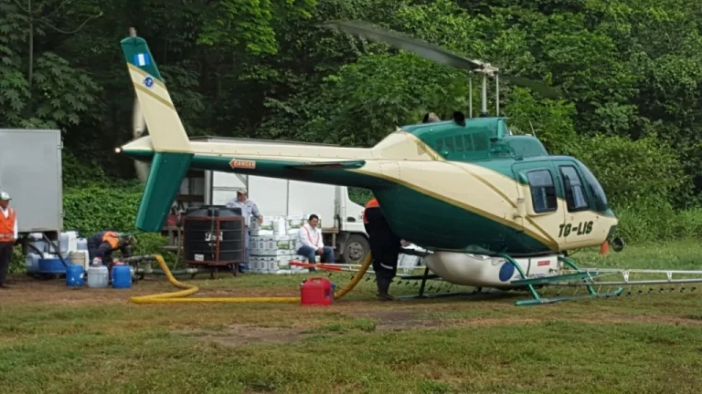 Cultivo Caña de Azúcar